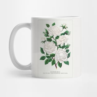 White rose, Baltimore Belle lithograph (1900) Mug